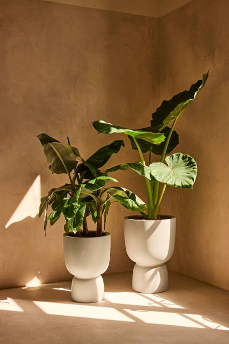 amber coupe 35cm blanco lino